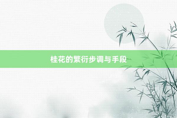 桂花的繁衍步调与手段