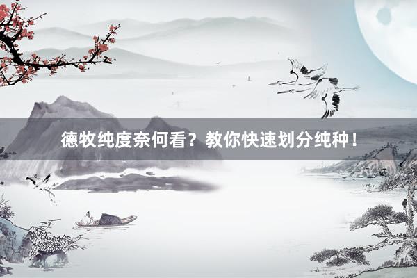 德牧纯度奈何看？教你快速划分纯种！